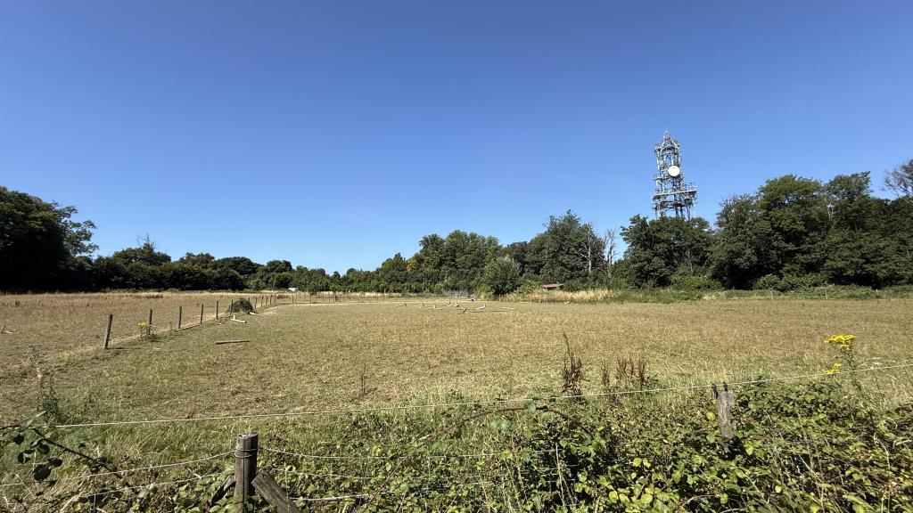 Lot: 42946 - RARE FREEHOLD OPPORTUNITY - A SUBSTANTIAL AND ESTABLISHED RESIDENTIAL, COMMERCIAL AND GRAZING LAND COMPLEX - Exterior image of grazing land from access road